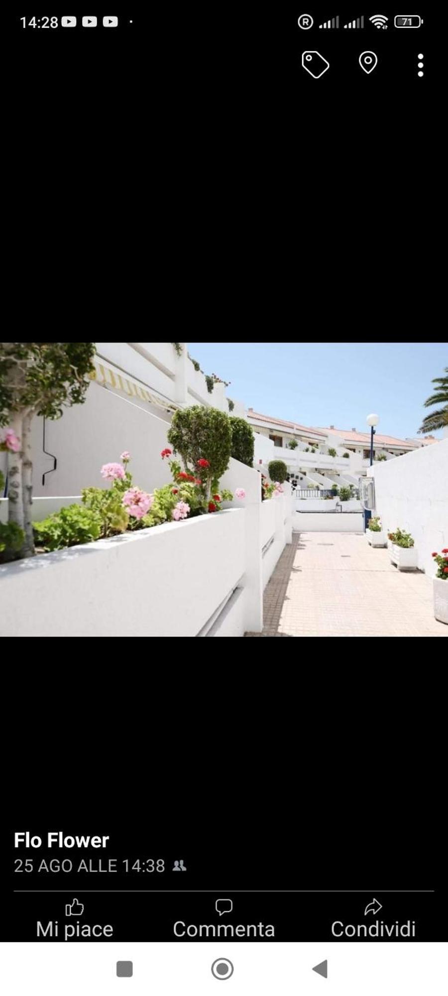 Garden City Costa Adeje  Esterno foto